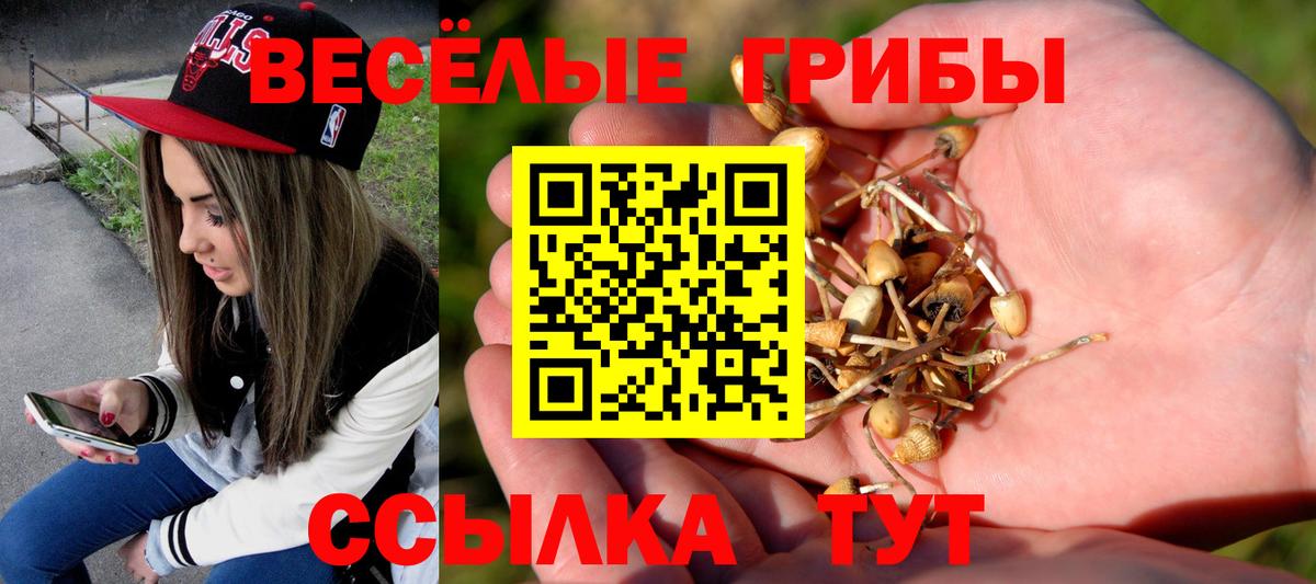 ГАШИШ  Егорьевск  Меф МЯУ МЯУ   Вход с VPN  MDMA  МАРИХУАНА  Alpha PVP СК   LSD-25  COCAIN  МЕТАМФЕТАМИН 