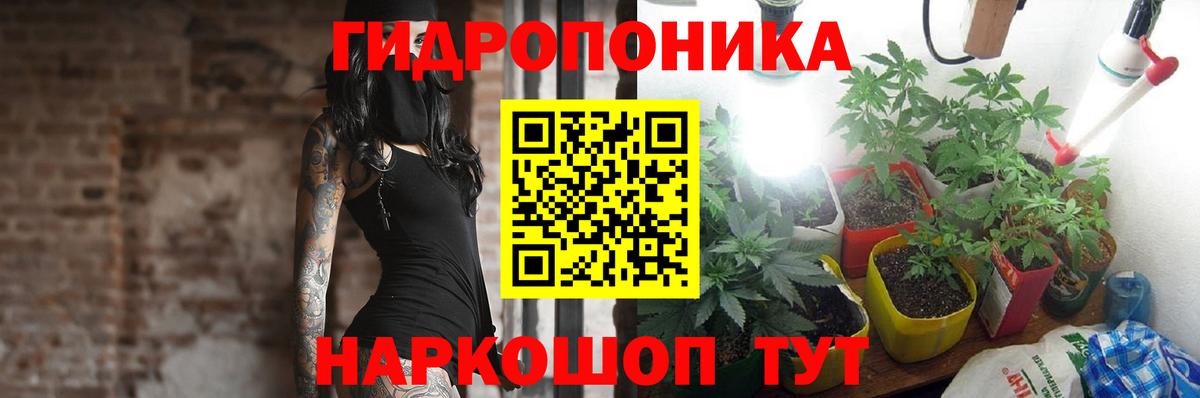 Конопля Ganja Егорьевск